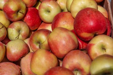 Kırmızı elmaların tam kare görüntüsü. Marketten taze kırmızı elmalar. Taze toplanmış organik elma yığını. Sağlıklı yeme kavramı