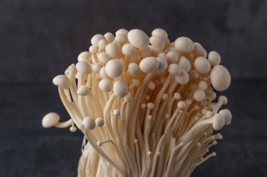 Taze Enoki mantarları seçilmiş odaklı olarak siyah zemin üzerinde bulunur. Enoki, ayrıca kadife şiş olarak da bilinir, Physalacriaceae familyasından yenilebilir bir mantar türüdür.. 
