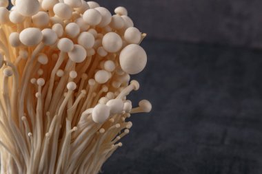 Taze Enoki mantarları seçilmiş odaklı olarak siyah zemin üzerinde bulunur. Enoki, ayrıca kadife şiş olarak da bilinir, Physalacriaceae familyasından yenilebilir bir mantar türüdür.. 