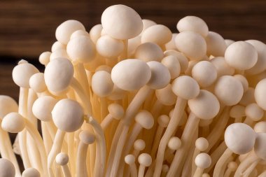 Taze Enoki mantarları seçilmiş odaklı olarak siyah zemin üzerinde bulunur. Enoki, ayrıca kadife şiş olarak da bilinir, Physalacriaceae familyasından yenilebilir bir mantar türüdür.. 