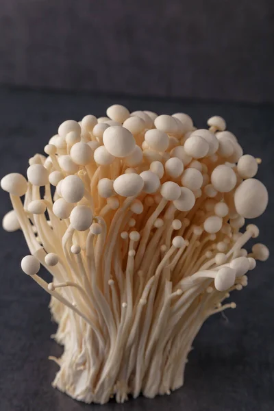 Fresh Enoki mushrooms on black background with selected focus.Enoki, also known as velvet shank, is a species of edible mushroom in the family Physalacriaceae.