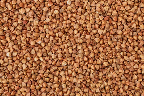 Fondo Trigo Sarraceno Primer Plano Buckwheat Trigo Sarraceno Fresco — Foto de Stock