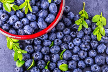 Taze yaban mersini arkaplanı. Yaban mersini dokusu 