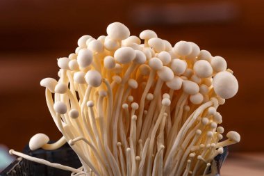 Enoki mantarı (Altın İğne Mantarı), Physalacriaceae familyasından bir mantar türüdür. Enok olarak da bilinen Japon mutfağındaki rolüyle tanınır.
