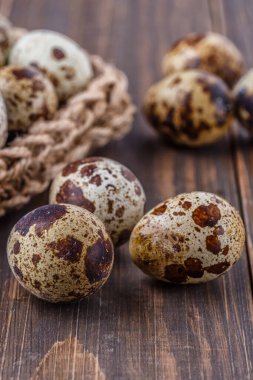 Tahta tabakta bıldırcın yumurtası. Bıldırcın yumurtaları kızartma ya da kaynatma ile tüketilebilir. Endonezya 'da bıldırcın yumurtalarına 