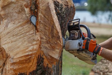 Kiev. Ukrayna. 22 Haziran 2019. Elektrikli testere. Stihl, Alman elektrikli testere ve diğer el teçhizatı üreticisi.