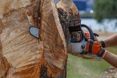 Kiev. Ukrayna. 22 Haziran 2019. Elektrikli testere. Stihl, Alman elektrikli testere ve diğer el teçhizatı üreticisi.