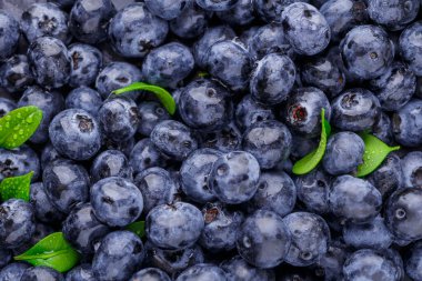 Taze yaban mersini arkaplanı. Yaban mersini dokusunu kapat yabanmersini antioksidan Organik Dengeli Kâse Sağlıklı Beslenme