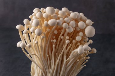 Taze Enoki mantarları seçilmiş odaklı olarak siyah zemin üzerinde bulunur. Enoki, ayrıca kadife şiş olarak da bilinir, Physalacriaceae familyasından yenilebilir bir mantar türüdür.. 