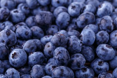 Metnin için fotokopi alanı olan taze yabanmersini arkaplanı. Vejetaryen ve vejetaryen kavramı. Yaban mersinli böğürtlenlerin makro dokusu. Yaban mersinli dokular kapanıyor.