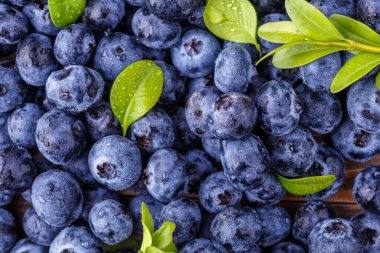 Metnin için fotokopi alanı olan taze yabanmersini arkaplanı. Vejetaryen ve vejetaryen kavramı. Yaban mersinli böğürtlenlerin makro dokusu. Yaban mersinli dokular kapanıyor.