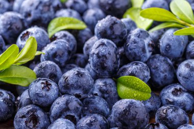 Metnin için fotokopi alanı olan taze yabanmersini arkaplanı. Vejetaryen ve vejetaryen kavramı. Yaban mersinli böğürtlenlerin makro dokusu. Yaban mersinli dokular kapanıyor.