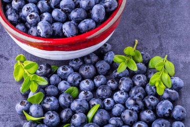Metnin için fotokopi alanı olan taze yabanmersini arkaplanı. Vejetaryen ve vejetaryen kavramı. Yaban mersinli böğürtlenlerin makro dokusu. Yaban mersinli dokular kapanıyor.