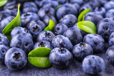 Metnin için fotokopi alanı olan taze yabanmersini arkaplanı. Vejetaryen ve vejetaryen kavramı. Yaban mersinli böğürtlenlerin makro dokusu. Yaban mersinli dokular kapanıyor.