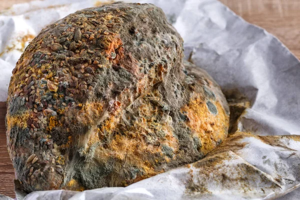 Mold growing on a loaf of bread.blue and pink mold on bread close-up