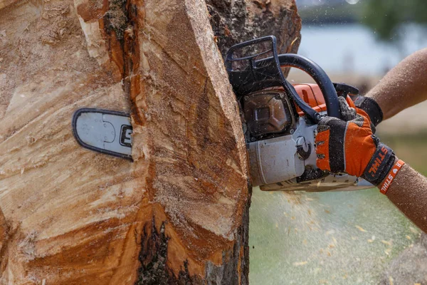 Kiev. Ukrayna. 22 Haziran 2019. Elektrikli testere. Stihl, Alman elektrikli testere ve diğer el teçhizatı üreticisi.