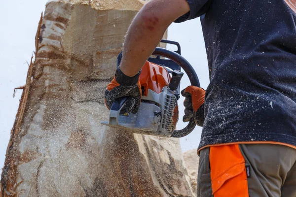 Kiev. Ukrayna. 22 Haziran 2019. Elektrikli testere. Stihl, Alman elektrikli testere ve diğer el teçhizatı üreticisi.