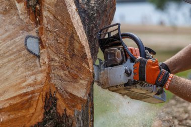 Kiev. Ukrayna. 22 Haziran 2019. Elektrikli testere. Stihl, Alman elektrikli testere ve diğer el teçhizatı üreticisi.