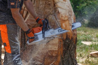 Kiev. Ukrayna. 22 Haziran 2019. Elektrikli testere. Stihl, Alman elektrikli testere ve diğer el teçhizatı üreticisi.