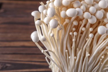 Fresh Enoki mantarları ve seçilmiş odak noktası. Enoki, Physalacriaceae familyasından yenebilir bir mantar türüdür.. 