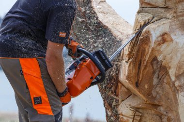 Kiev. Ukrayna. 22 Haziran 2019. Elektrikli testere. Stihl, Alman elektrikli testere ve diğer el teçhizatı üreticisi.