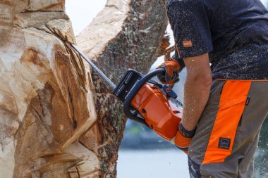 Kiev. Ukrayna. 22 Haziran 2019. Elektrikli testere. Stihl, Alman elektrikli testere ve diğer el teçhizatı üreticisi.