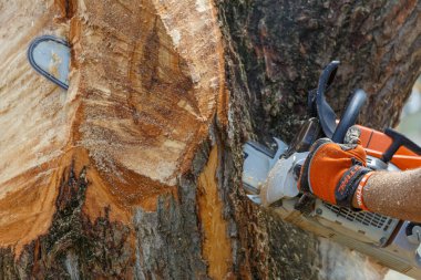 Kiev. Ukrayna. 22 Haziran 2019. Elektrikli testere. Stihl, Alman elektrikli testere ve diğer el teçhizatı üreticisi.