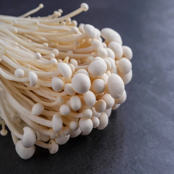 Fresh Enoki mushrooms on black background with selected focus.Enoki, also known as velvet shank, is a species of edible mushroom in the family Physalacriaceae.