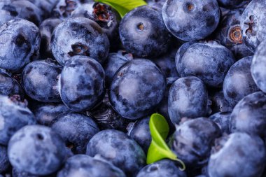 Taze yaban mersini arkaplanı. Yaban mersini dokusunu kapat yabanmersini antioksidan Organik Dengeli Kâse Sağlıklı Beslenme