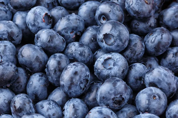 Taze yaban mersini arkaplanı. Yaban mersini dokusunu kapat yabanmersini antioksidan Organik Dengeli Kâse Sağlıklı Beslenme