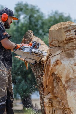 Kiev. Ukrayna. 22 Haziran 2019. Elektrikli testere. Stihl, Alman elektrikli testere ve diğer el teçhizatı üreticisi.