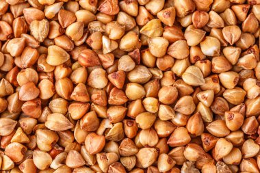 Karabuğday. Taze karabuğday. Kuru karabuğday arka planı. karabuğday dokusu