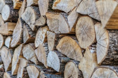 Yumuşak ahşap kütüklerin arka planı. Ahşap dokusunu kes. Kış için hazırlanmış odun yığını