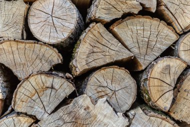 Yumuşak ahşap kütüklerin arka planı. Ahşap dokusunu kes. Kış için hazırlanmış odun yığını