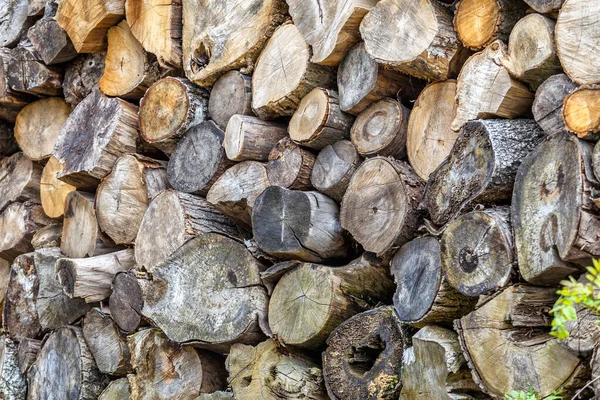 Sfondo Tronchi Legno Liscio Tagliati Struttura Legno Tagliato Mucchio Legna — Foto Stock