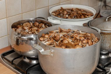 Seramik tabakta lezzetli ballı mantarlar. Kasede bal mantarı (Armillaria mellea) mantarları var. Seçici odaklanma. Yüzeyin derinliği. Tencerede mantarlar..