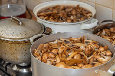 Seramik tabakta lezzetli ballı mantarlar. Kasede bal mantarı (Armillaria mellea) mantarları var. Seçici odaklanma. Yüzeyin derinliği. Tencerede mantarlar..