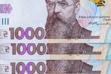 Ukrayna parası, Ukrayna banknotlarından elde edilen doku ve 1000 hryvnias değerinde banknot, Vernadsky 'yi betimliyor. Ukrayna' da 1000 Hryvnias 'lık banknot, tasarım için elementlerin bir parçası.