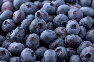 Taze yaban mersini arkaplanı. Yaban mersini dokusunu kapat yabanmersini antioksidan Organik Dengeli Kâse Sağlıklı Beslenme