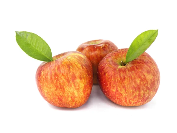 Üç elma yaprak ile