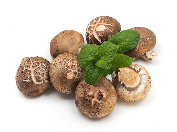 Beyaz arka plan üzerinde izole kahverengi champignon mantar ve melissa yaprakları