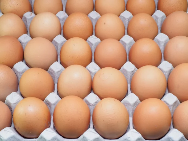 Pakette yumurtalar var.