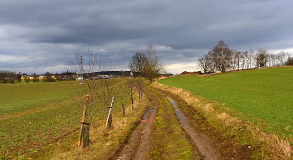 Winterweg zwischen Feldern — Stockfoto