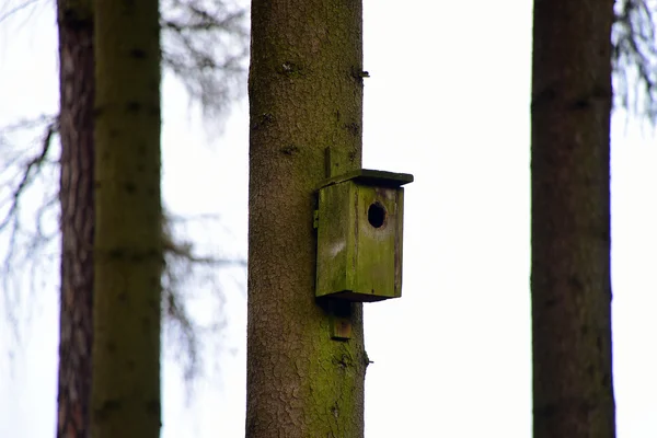 Kuşlar için kutu — Stok fotoğraf