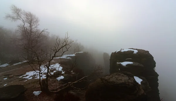 Утренний туман в скалах — стоковое фото