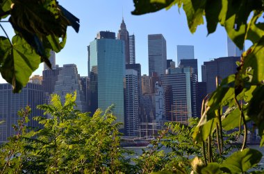 New York 'taki gökdelenler