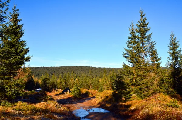 Winter in den Bergen — Stockfoto