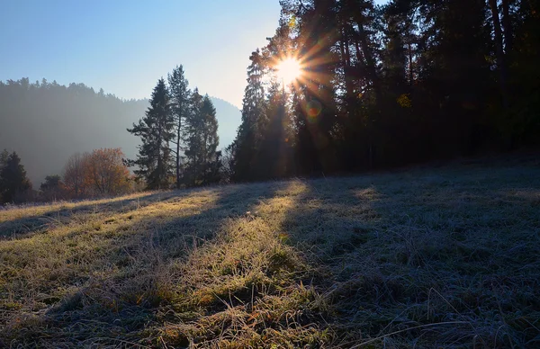 Sentier enneigé en hiver avec lever de soleil — Photo