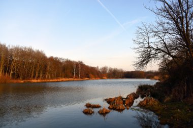 Güneşli akşam havuzda