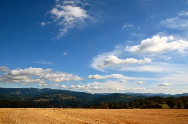 Campo com céu azul — Fotografia de Stock